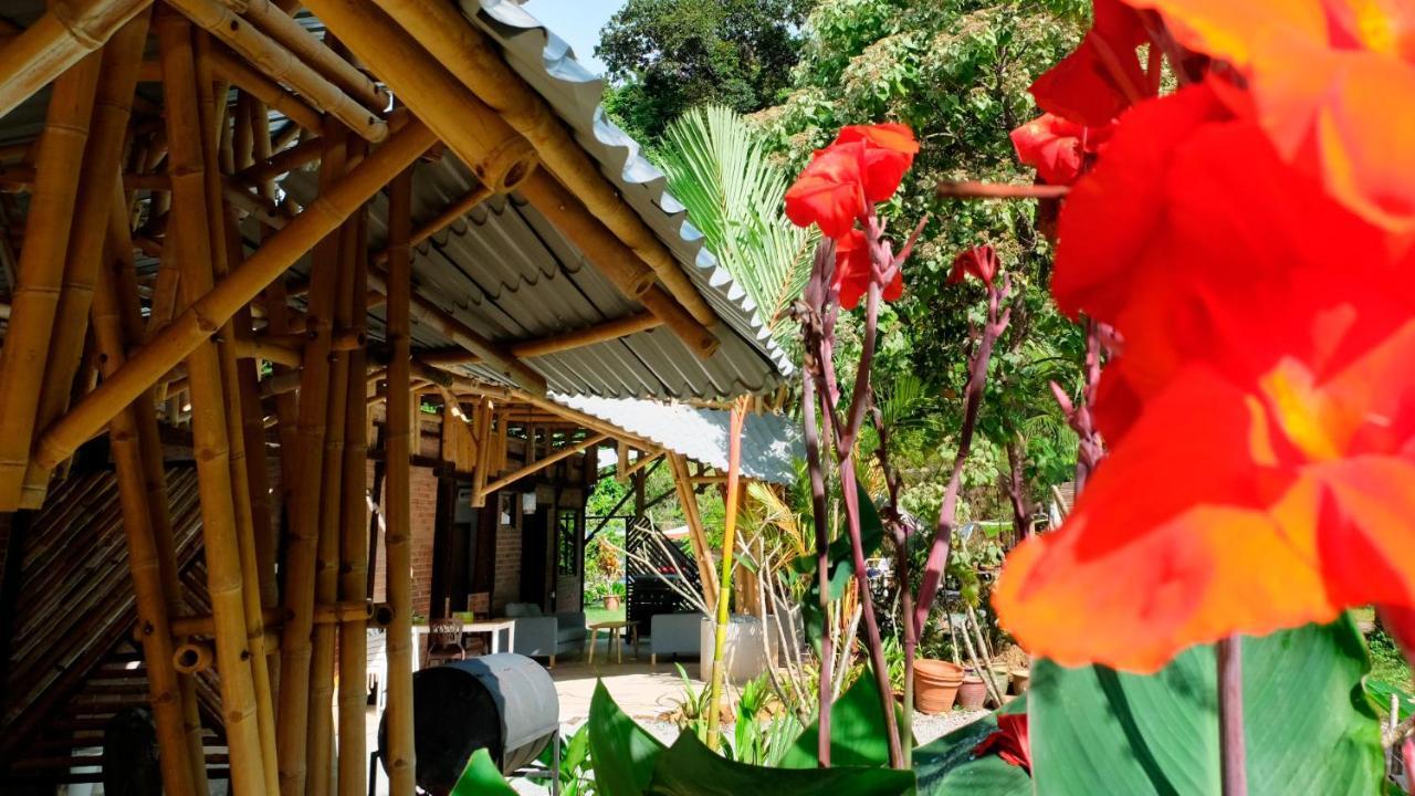 Bamboo Cottage Langkawi Pantai Cenang  Zewnętrze zdjęcie